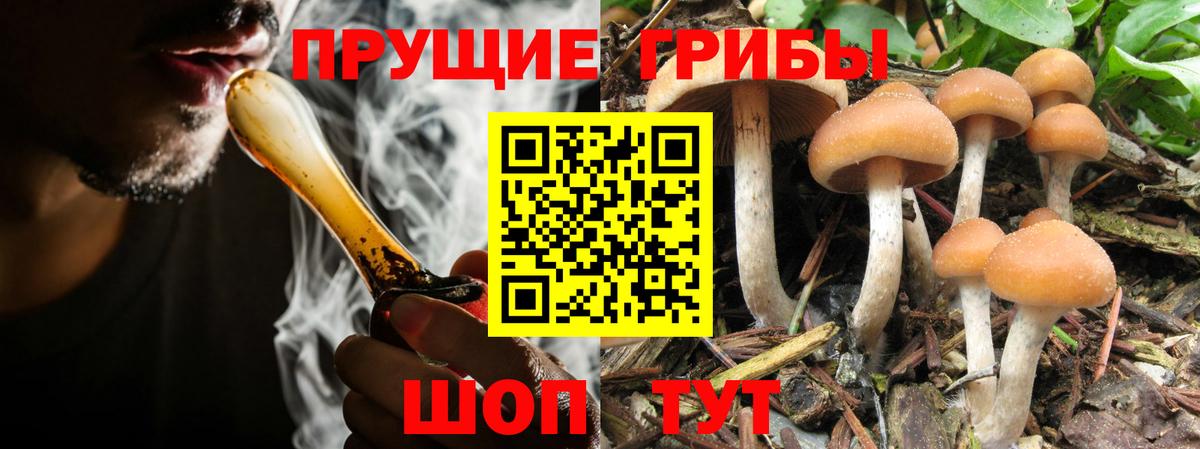 Псилоцибиновые грибы ЛСД Ростов-на-Дону