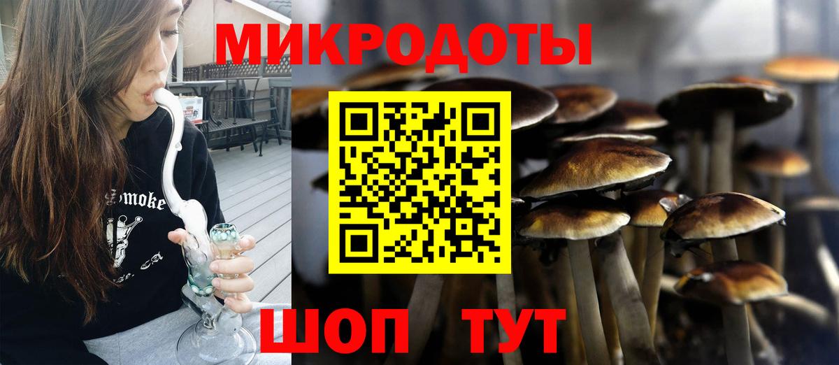 Галлюциногенные грибы Psilocybine cubensis  Вход с VPN  Псилоцибиновые грибы MAGIC MUSHROOMS  Ростов-на-Дону 