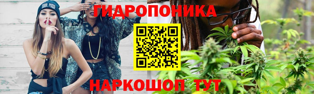 Ростов-на-Дону  Каннабис гибрид  Вход с VPN  Бошки марихуана планчик  Конопля конопля  Марихуана AK-47 